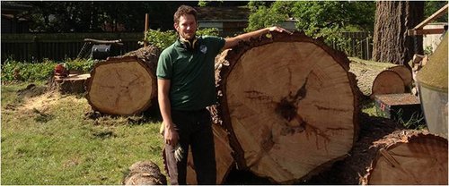 earthworkstree's tweet photo. #Tree_Removal Bellingham - At #Earth_Works Tree Service, we render estimate in number of days or #removal projects, https://t.co/2XVo9KdA8F https://t.co/DxD1jIRag3