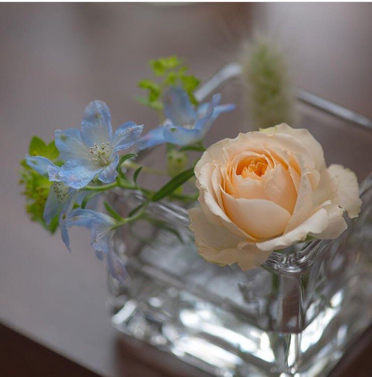 fioraionline's tweet photo. Fioraionline.it https://t.co/XMyttZKp0l