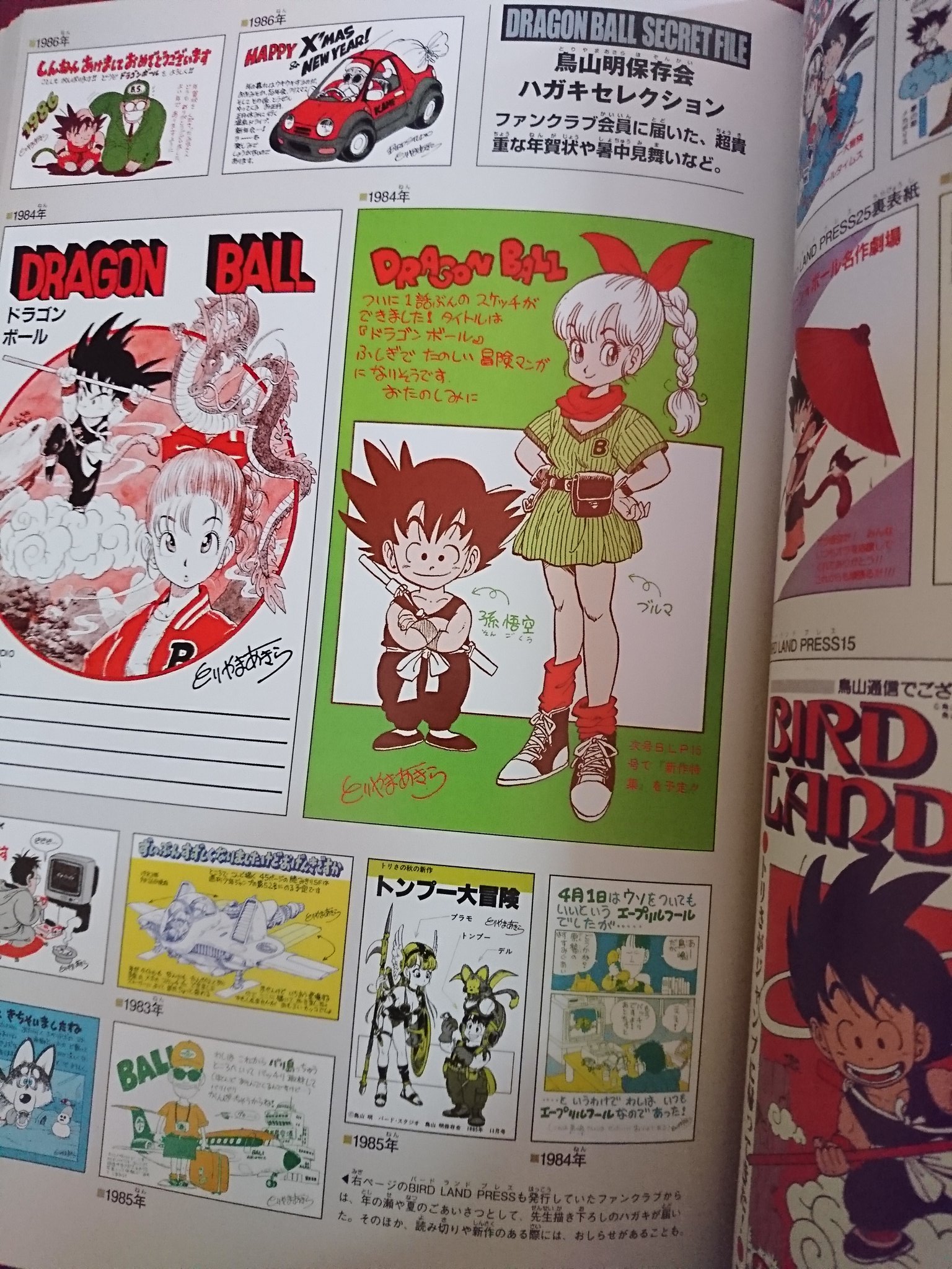 DRAGON BALL超画集 DRAGON BALL超画集