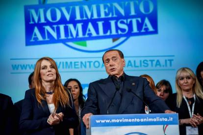 JanielsDack's tweet photo. Movimento animalista e marcia pro migranti. Altri due motivi per fare un biglietto di sola andata e scappare via, lontani da qui. https://t.co/iCrR7VcAfG