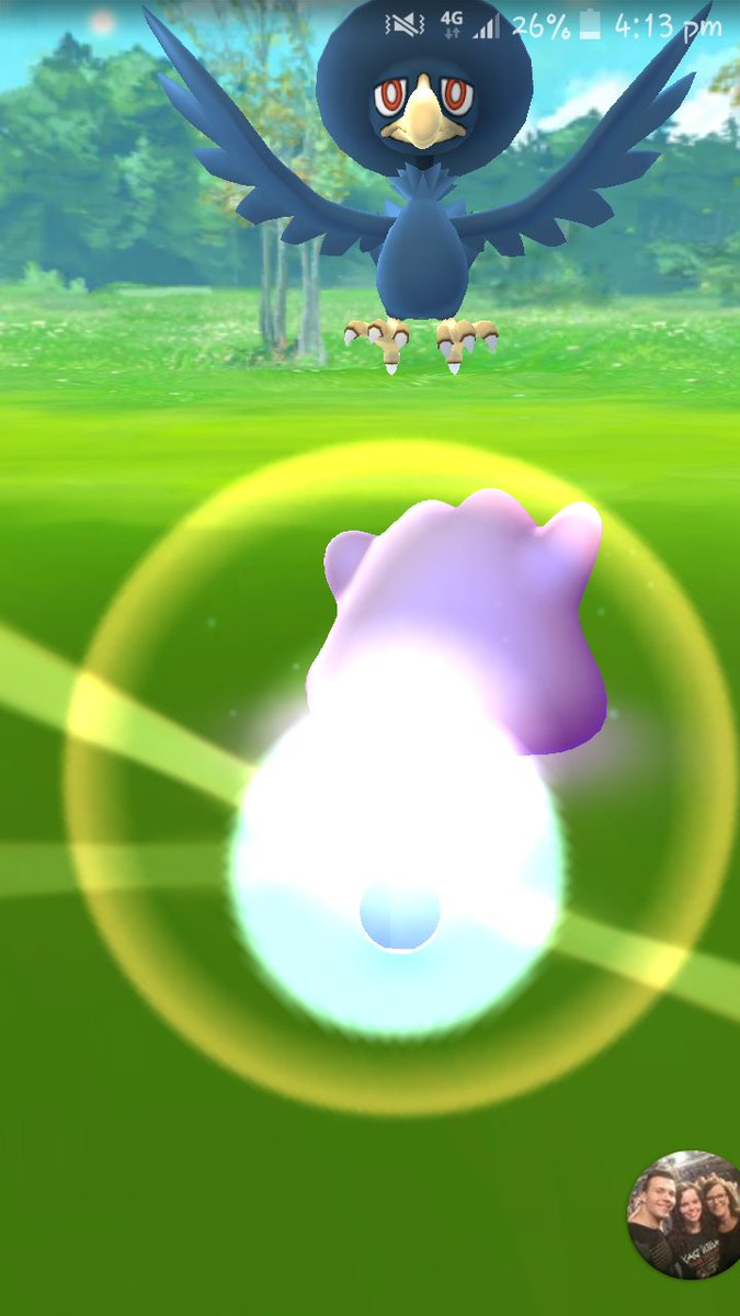 Connor_Kingsnor's tweet photo. @trnrtips I caught a ditto just before the murcrow and this happend any idea why https://t.co/aI0rVUy3Bb