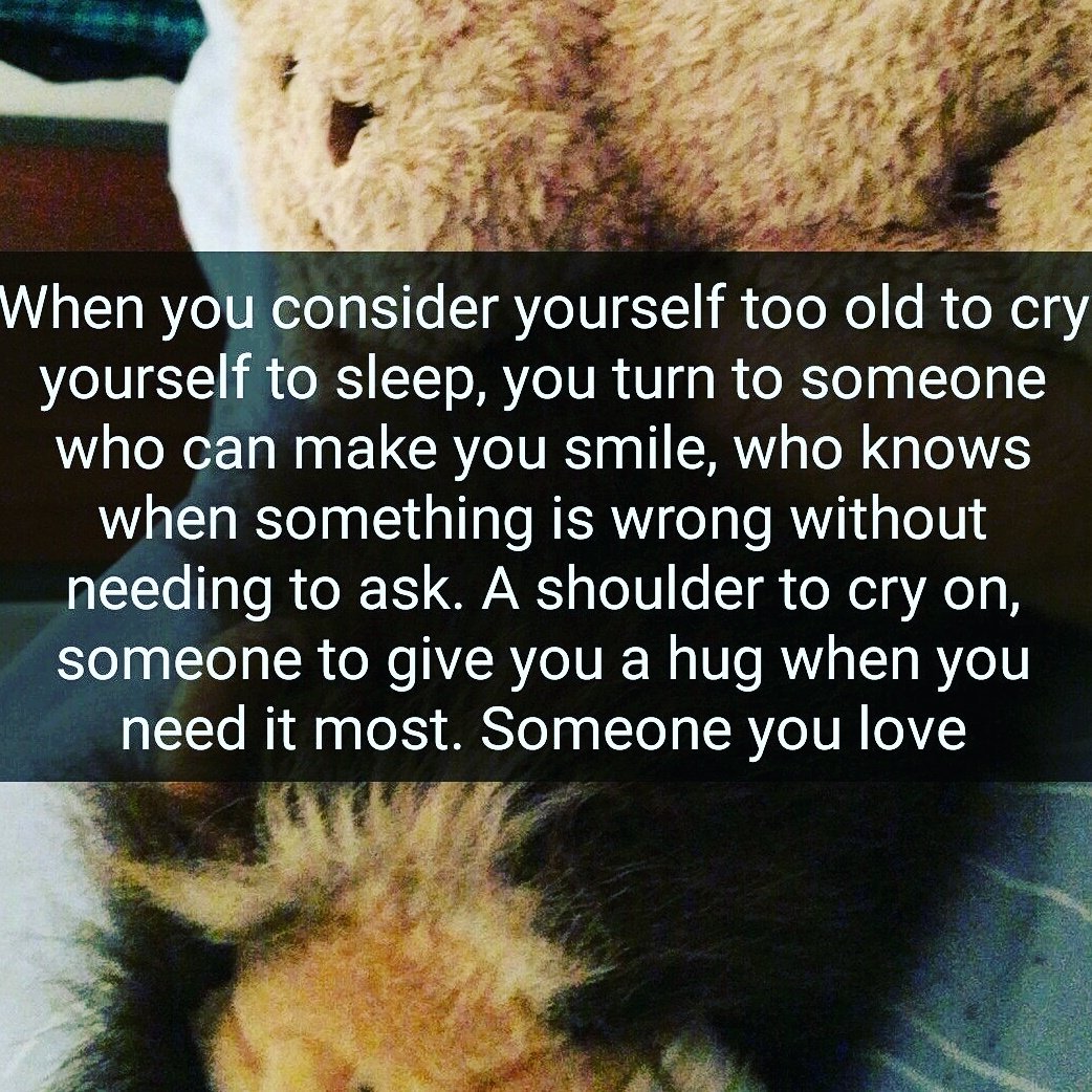 MissMustasha's tweet photo. #Lion # Teddy #Plushies #Bear #OriginalQuote #Sad #Hugs #Love https://t.co/pqSqSKuQa3