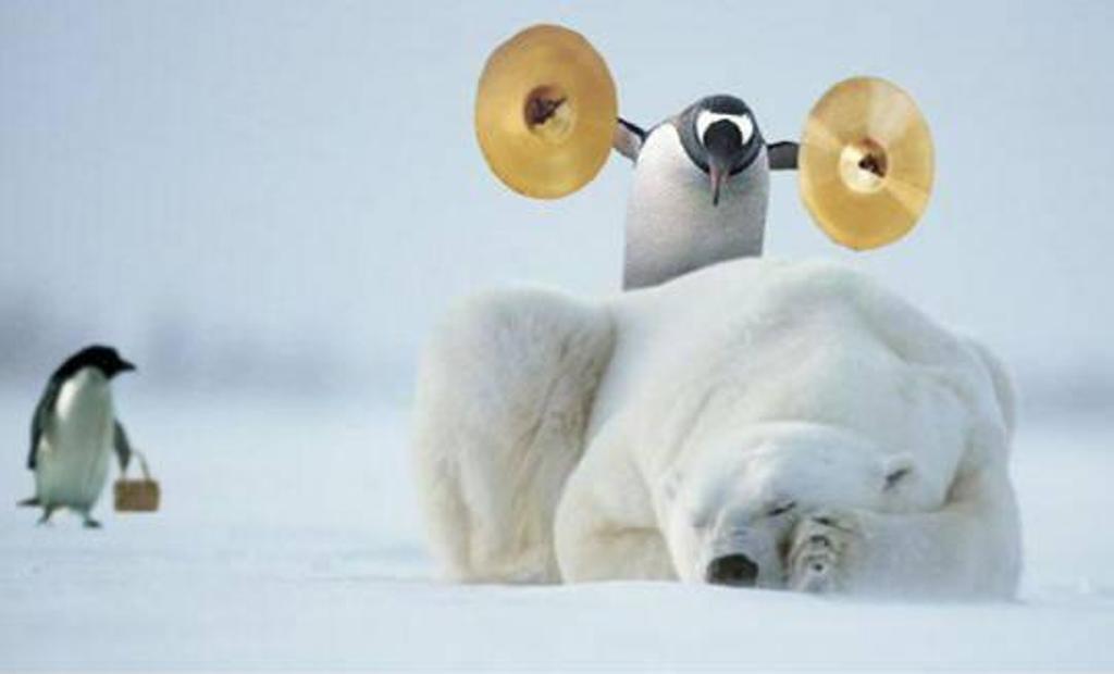 DAaXFzvW0AEao-y.jpg:large