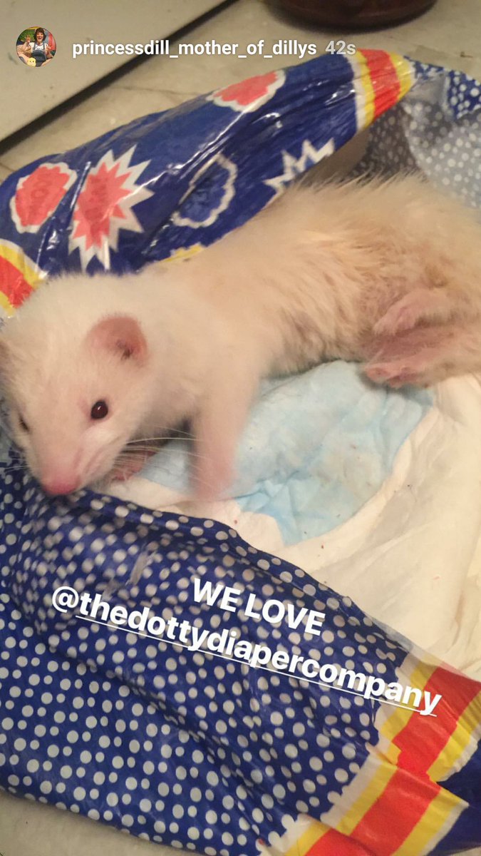ferret diapers