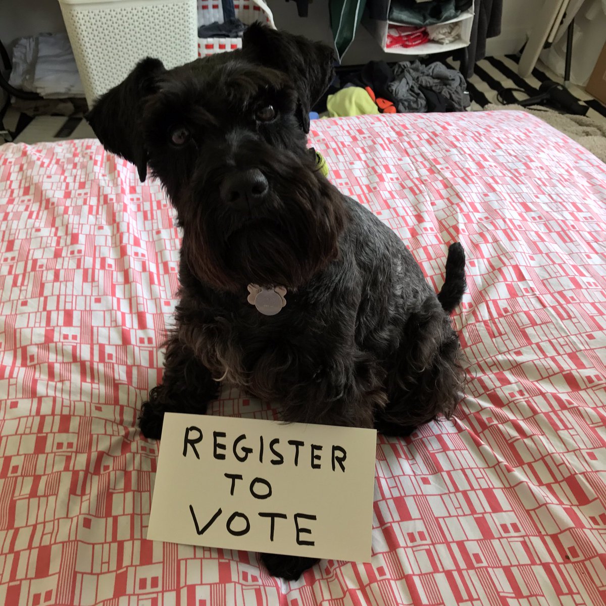 davidshrigley's tweet photo. Inka says REGISTER TO VOTE https://t.co/QwPdazmksl