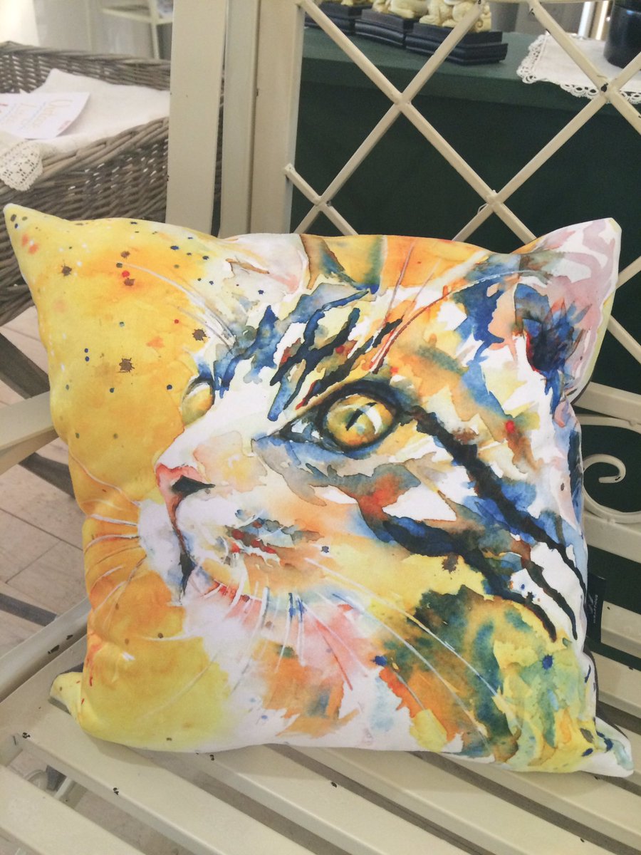 Supporting Emerging Artists Cushions x