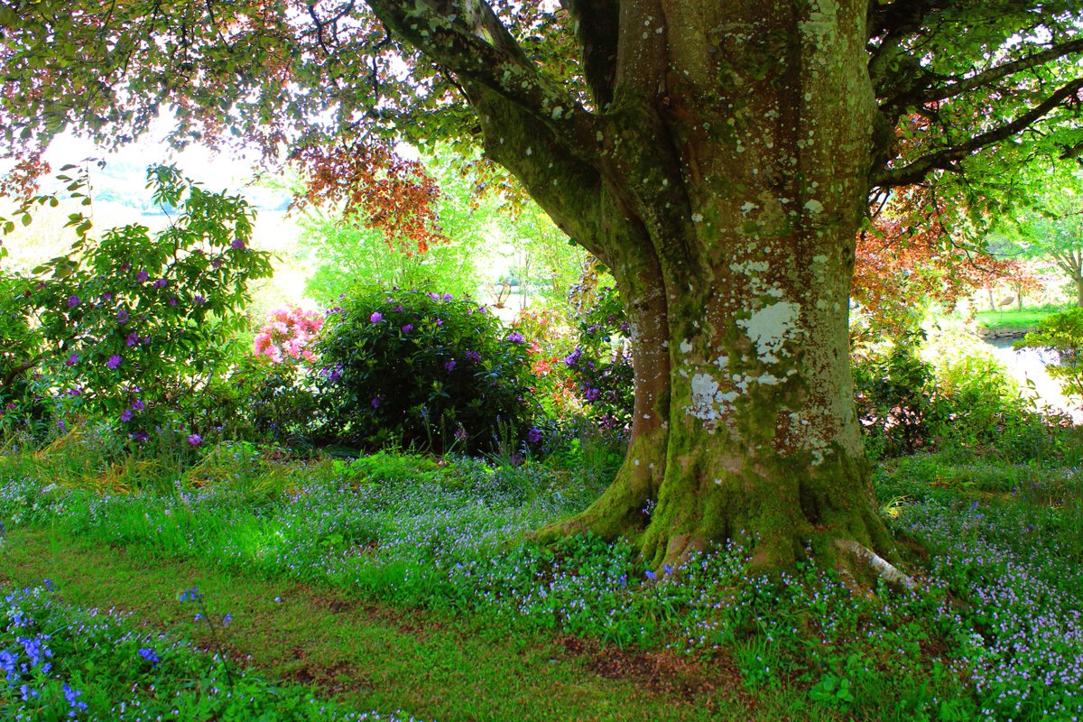 Wonderful days out in Dartmoor gardens! <a href="/GreatDevonDays/">Devon Days #LoveDevon</a> #devonholidays #holidaycottage <a href="/activedartmoor/">ACTIVE DARTMOOR</a>