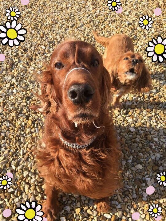 RemingtonOliver's tweet photo. Happy days xxxxxx https://t.co/7Y4zd3PNvF