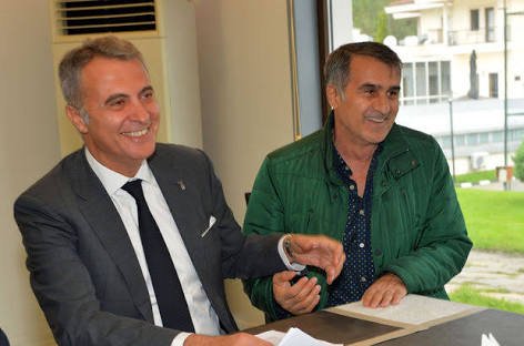 #OrmanGüneşleGüzel