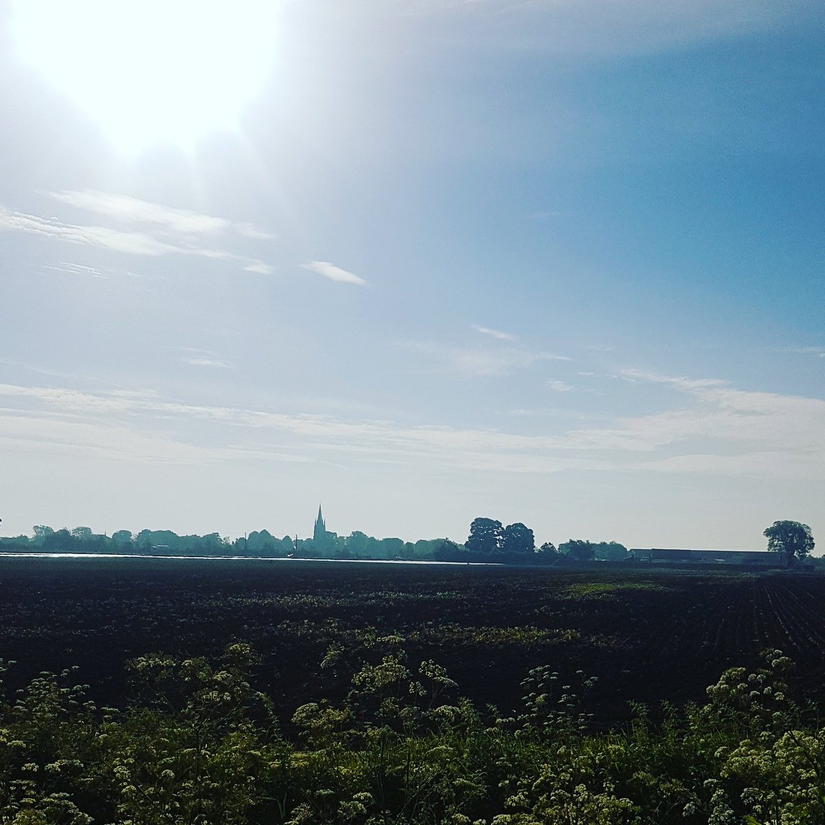 laurapell56's tweet photo. First run in a long time #mostlywalking #sounfit https://t.co/srKcseFOaz