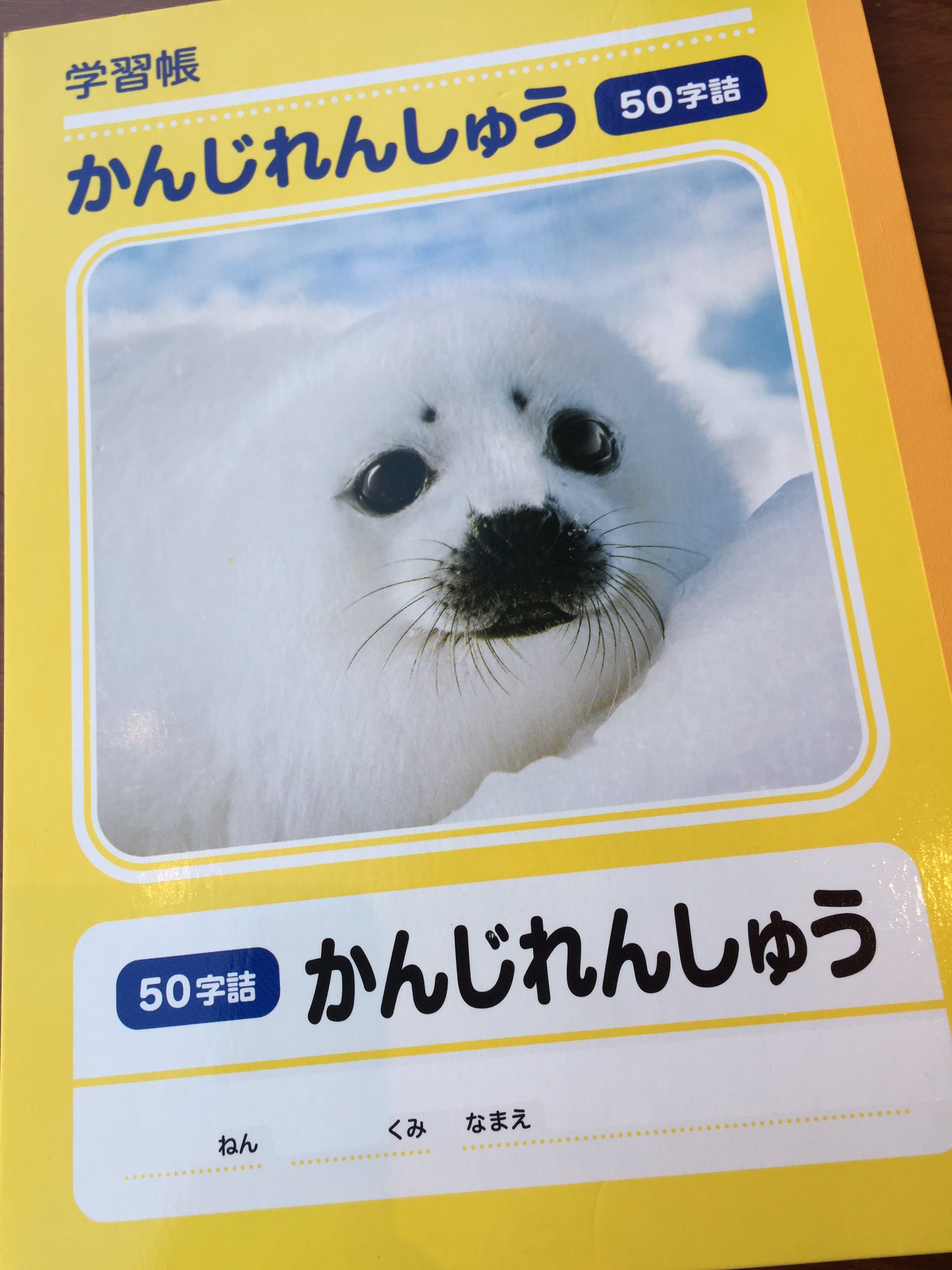 あざらし王国 على تويتر ダイソーにて購入 アザラシスキーはかんじれんしゅうしよう あざらし王国 على تويتر ダイソーにて購入 アザラシスキーはかんじれんしゅうしよう