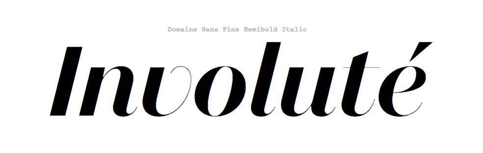 LorenaFoucher's tweet photo. The new https://t.co/4NNUuYtlh8 is literally a gold mine.
Example : https://t.co/D90AxkaoJU Domaine, by @klimtypefoundry #fontype #lovers https://t.co/wKEPXfYYK7