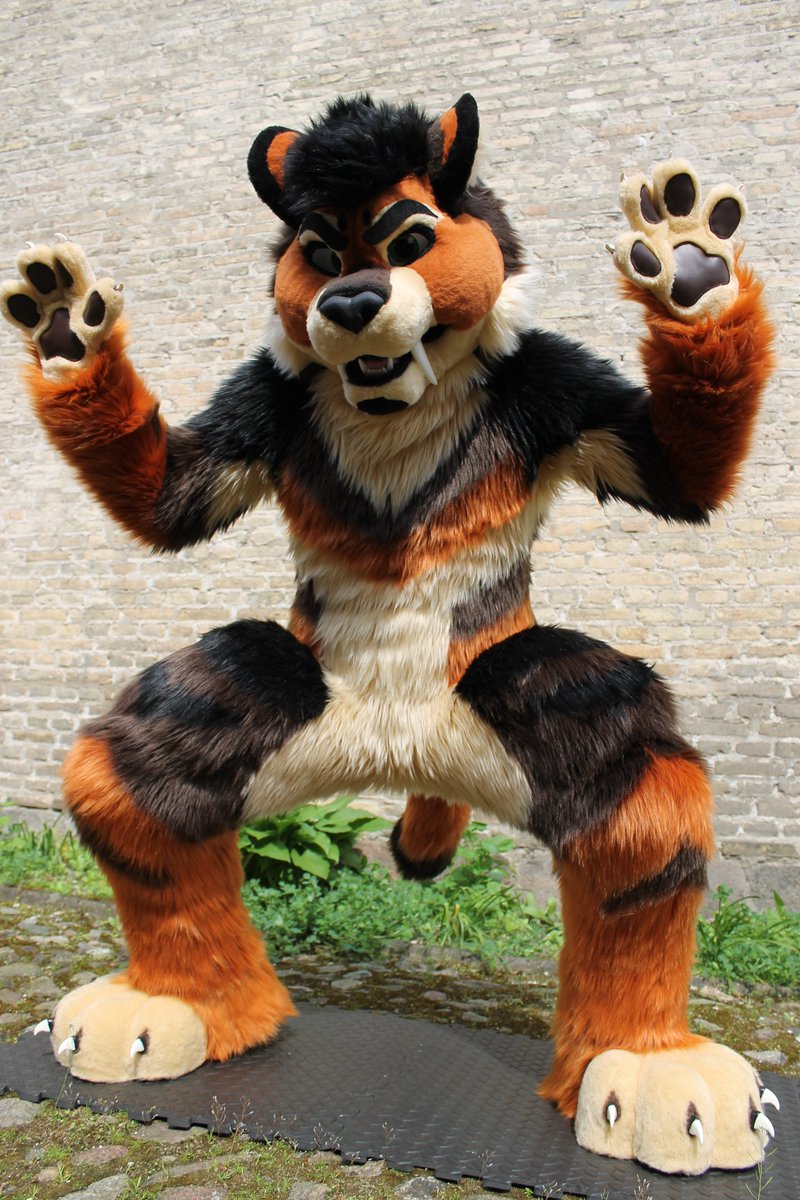 TitustheTiger's tweet image. This kitty just woke up. Now it's time for some morning stretches. Groooowllll.....