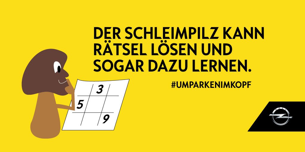 Hat Köpfchen, ohne eins zu besitzen. bit.ly/UmparkenImKopf…