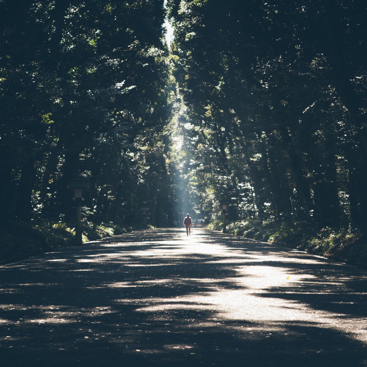 StartHereTweets's tweet photo. The road ahead may seem dark, but it’s all part of your journey.
https://t.co/5Wrv2MYNSq https://t.co/U5BNQP6VIO