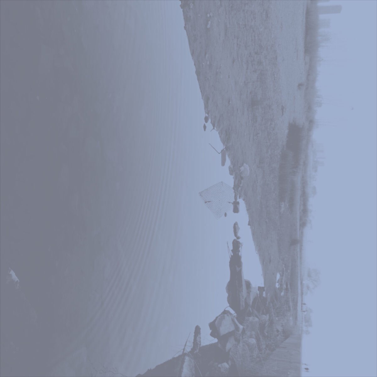 exitcodemusic's tweet image. Two track ep "Vapourflowers" | #drone #lofi #ambient #experimental #dronemusic #experimentalmusic #ambientmusic #chicago #chicagomusic
