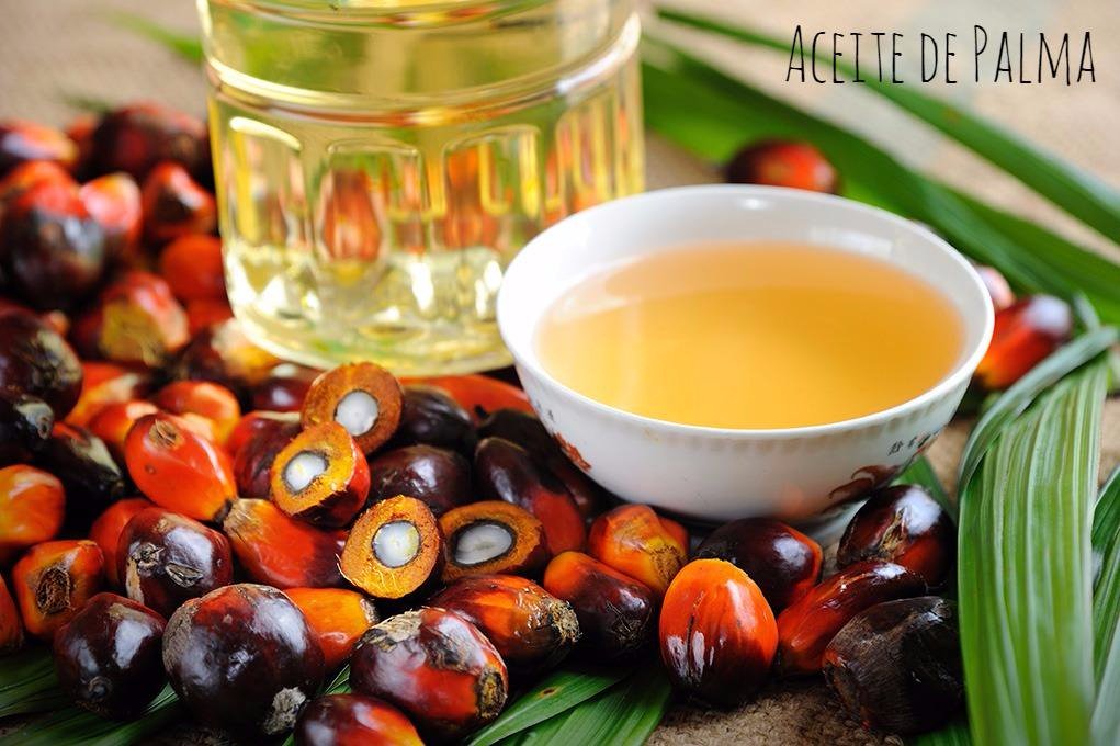 saludalimenta's tweet photo. ¿Qué es el aceite de palma?¿Por qué es perjudicial para nuestra salud?
#alimentalasalud #nutricion #aceitepalma 
https://t.co/CeCEyjDqi1 https://t.co/BYOYt3LD0P