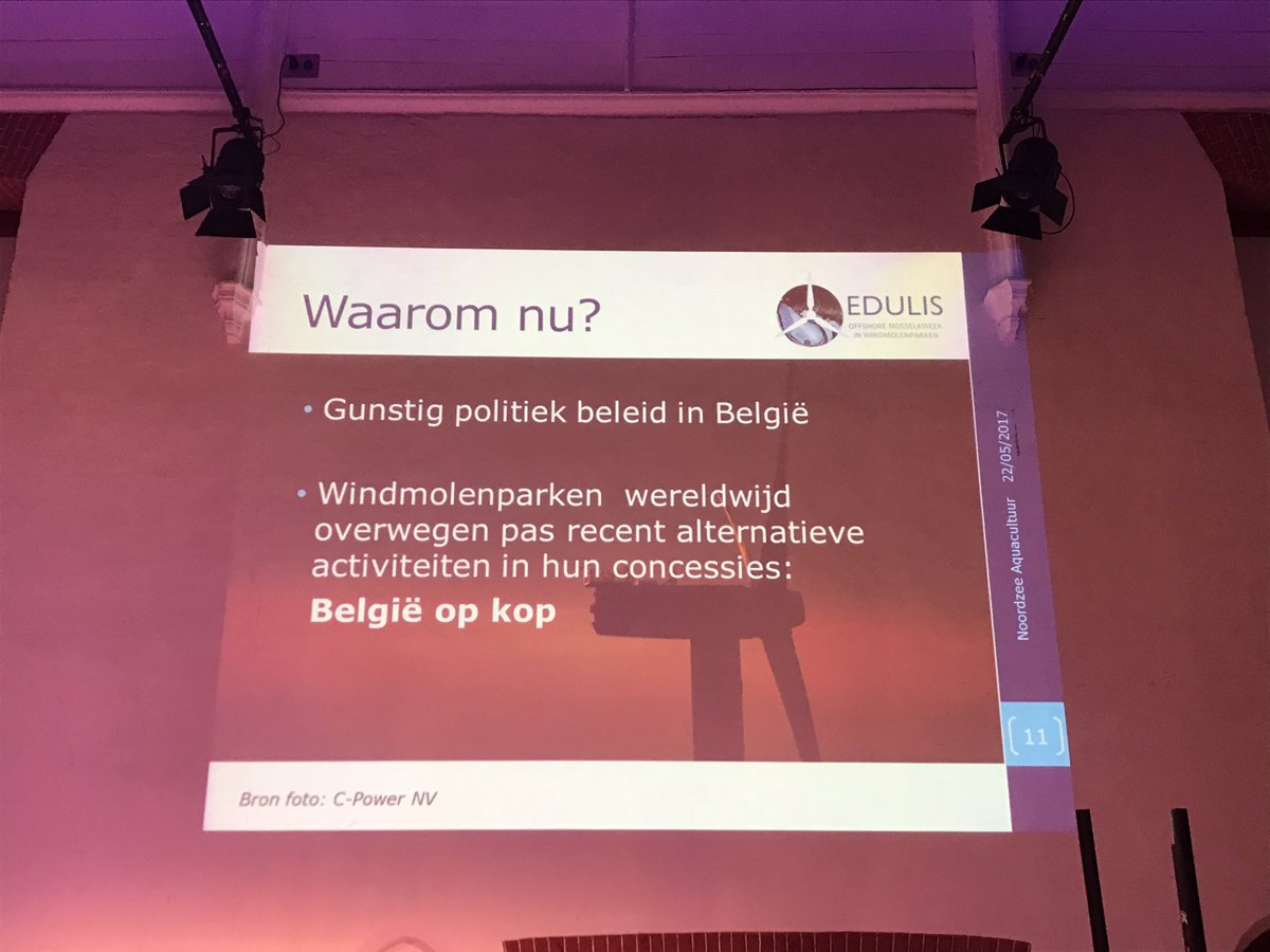 Romina_vh's tweet photo. Erkenning inzet VL &amp; Fed reg vr wereldprimeur aquacultuur tss windparken #Noordzee. @ILVOvlaanderen @debackerphil @JokeSchauvliege @ugent https://t.co/ZPRltUg5Pg