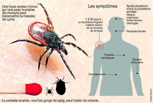 Voir l'image sur Twitter Voir l'image sur Twitter