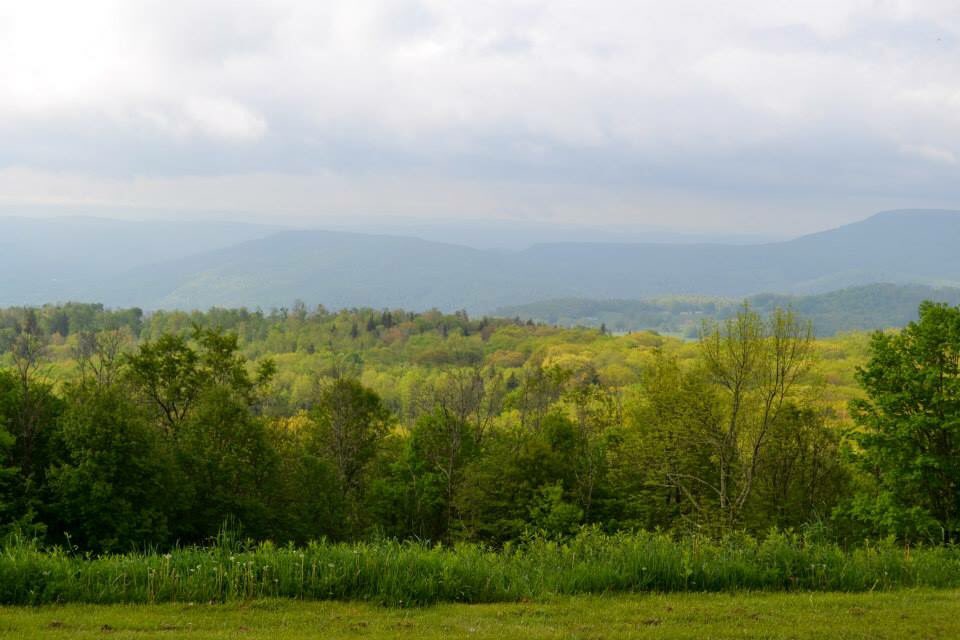 usfs_r9's tweet image. When you work for the Nation's beautiful Forests &amp;amp; Grasslands - #MondayMorning is something to look forward to. ☕️