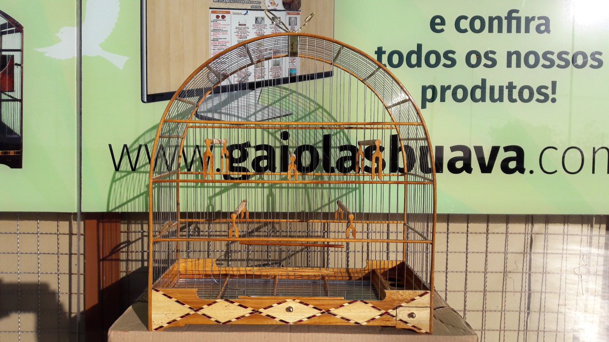 GAIOLASBUAVA tweet picture