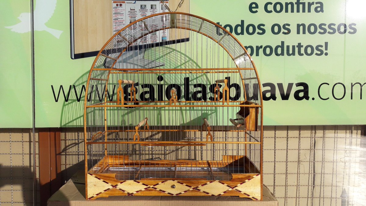 GAIOLASBUAVA tweet picture