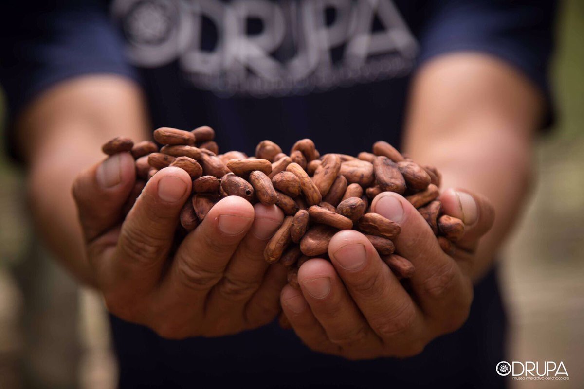 Ven a probarlo! Cosecha 2017.