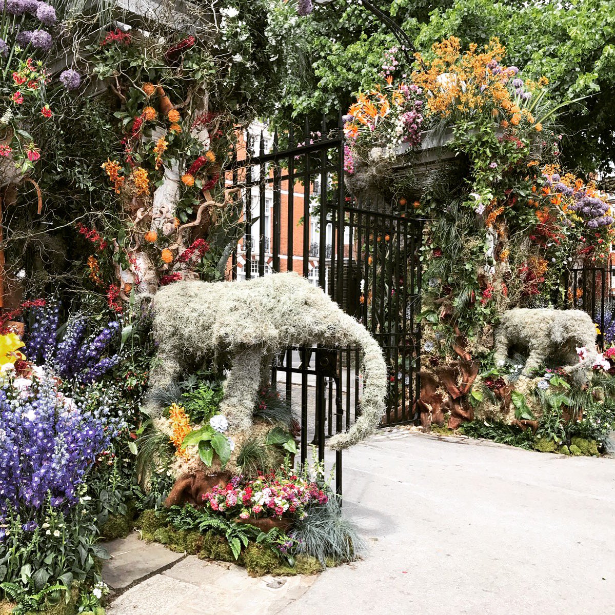 Tiger Lily's Florists. (tigerlilyspembs) Twitter