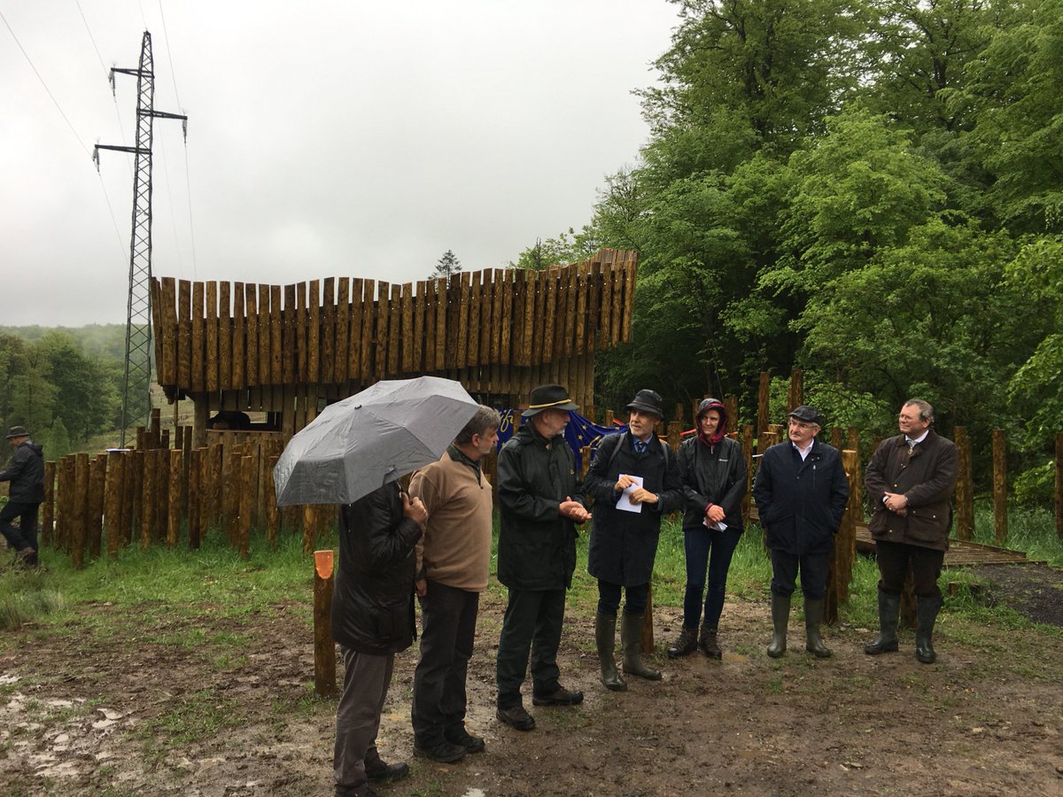 sharoonas's tweet photo. Interesting take on power lines and biodiversity https://t.co/ewhdrvcIm3 #LIFE_Programme #LIFE25NATURA #Natura2000Day https://t.co/tQXSG7ydCk