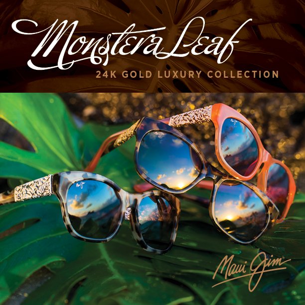 ViewpointYork's tweet photo. Limited Edition @OfficialMauiJim sunglasses now in stock! #MonsteraLeaf https://t.co/CkpTBi7Agi