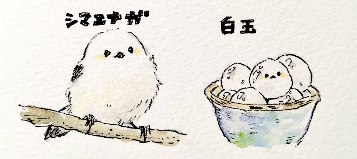 るるてあ シマエナガという鳥がとても可愛くて好きです