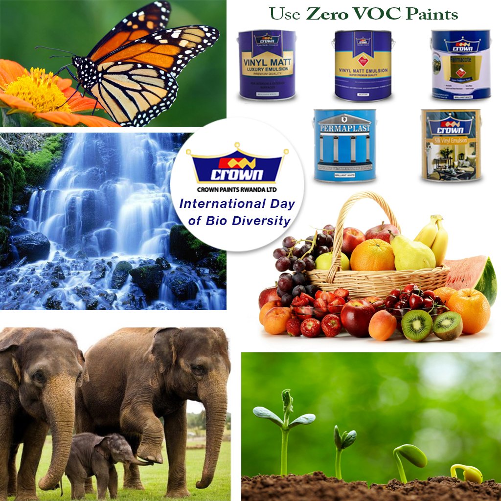 crownpaintsrw's tweet photo. Let’s pledge to protect the rich biodiversity of the mother earth &amp; build a better future for the planet. #BiodiversityDay #IDB2017 #Rwanda https://t.co/cSQBp91ThY