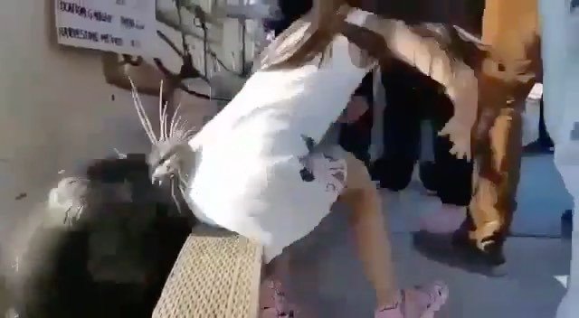 SavingTheWaves_'s tweet photo. 🌀
We've seen this video EVERYWHERE.. even on CNN..!!🙃
––——––——––——|🔹|––——––——––——
🔘 #SavingtheWaves ⠀⠀⠀⠀⠀⠀⠀⠀⠀⠀⠀⠀ ⠀⠀⠀⠀⠀⠀⠀⠀⠀⠀⠀⠀
It teaches an… https://t.co/jSAqyC9o5o