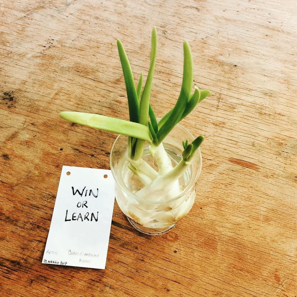 crazyholecook's tweet photo. Inspired. These onion shoots are bypassing the compost and heading to the garden to become flowers. ::: ::: ::: > … https://t.co/7hG5Y6Bi6l https://t.co/pGzgvZRFPA
