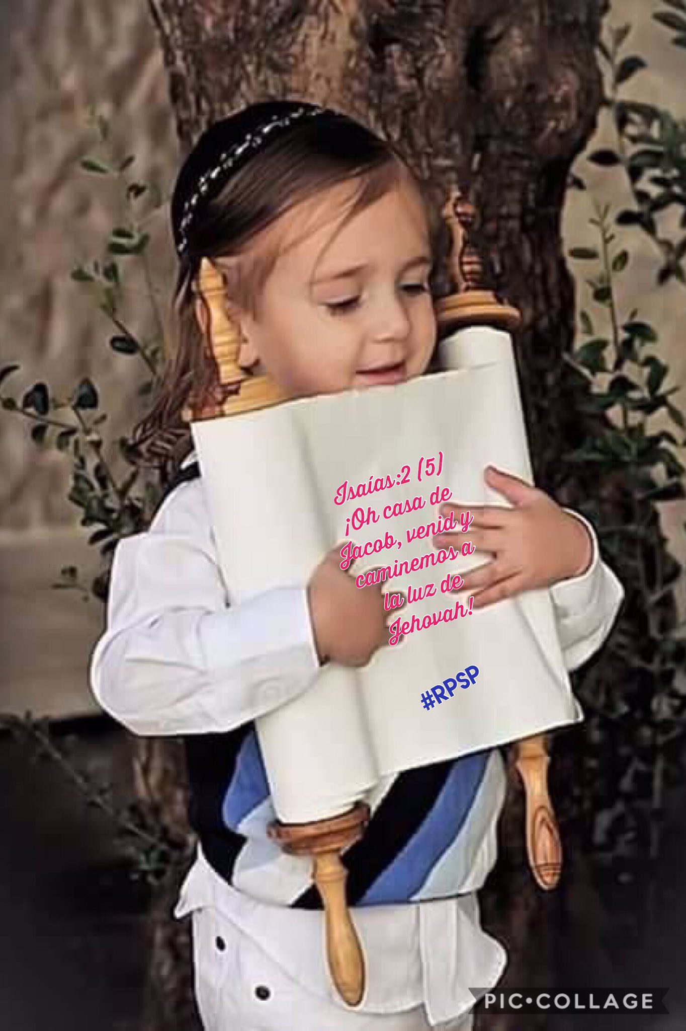 Шаббат Шалом дети