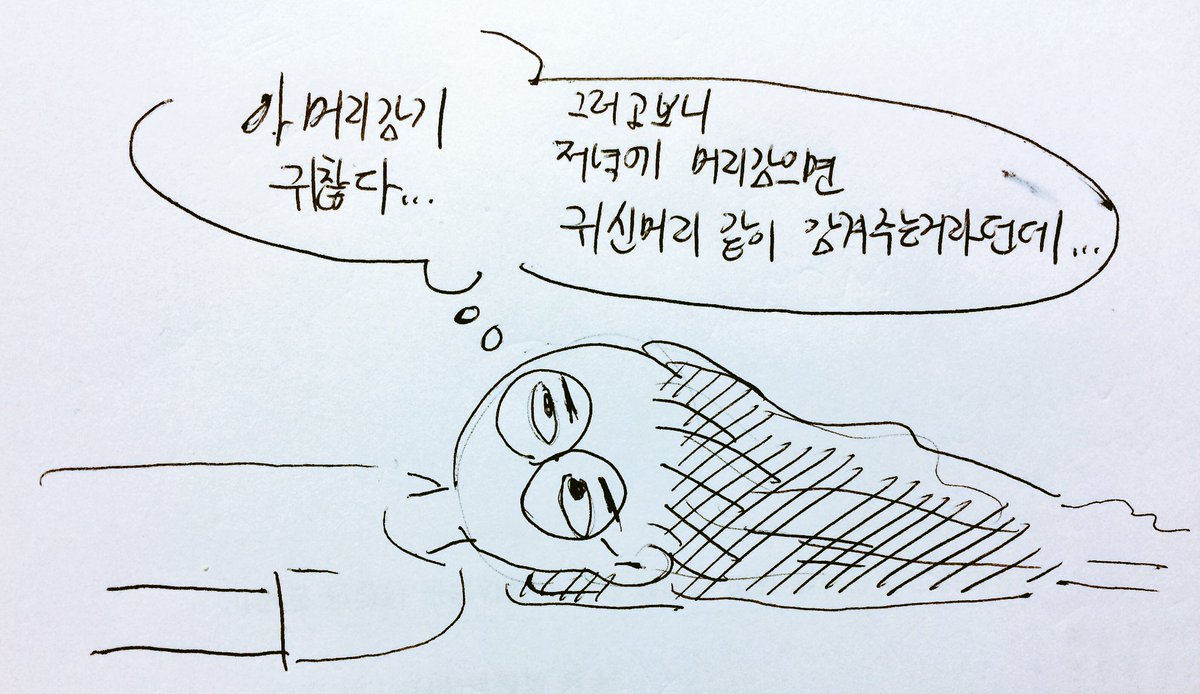 머리감기 귀찮음의 낙서.... 