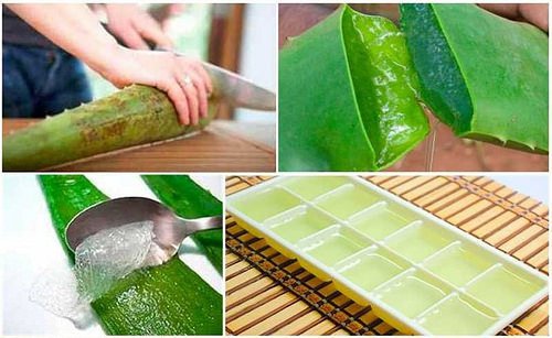 Die Eigenschaften der Aloe Vera sind umfangreich und viele Vorteile, die ihren externen Gebrauch oder Verbrauch nutzen können.
