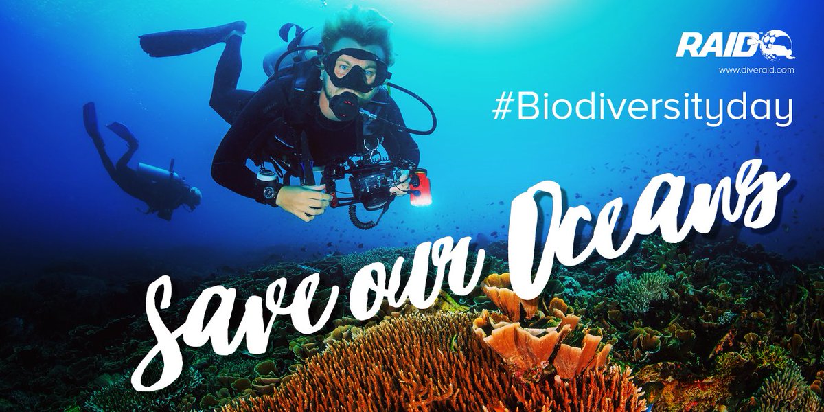 DiveRAIDInt's tweet photo. Go further than just e-learning – check your in-water behaviour.  #checkyourtrim #Biodiversityday https://t.co/5KR7BaUzkI https://t.co/bPZNArrWzr