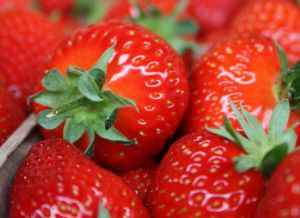 ObstausD's tweet photo. #Acai, #Goji und #Aronia waren gestern. Es lebe die heimische #Erdbeere 🍓😍 https://t.co/PKfvsRgwVh
#ObstausDeutschland #DeutschesObst https://t.co/riJMyYMuTR