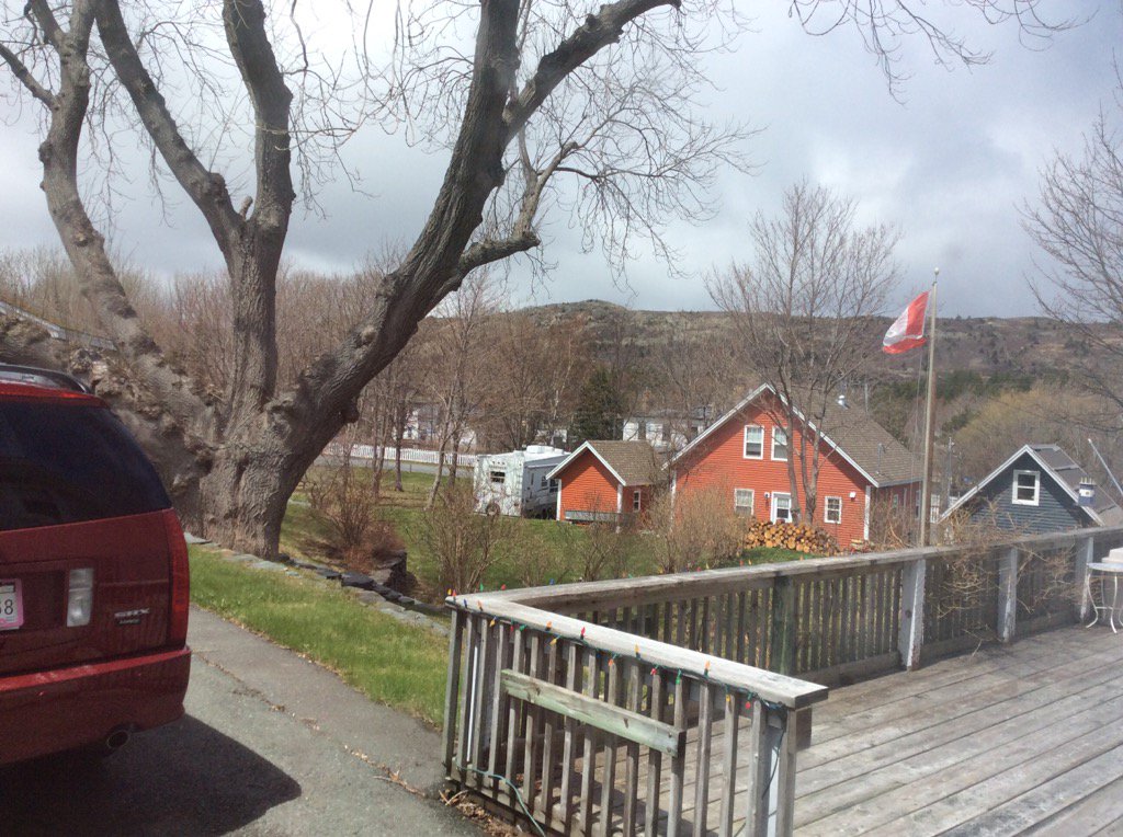 CodChowder's tweet image. Ryan Snodden@CBCNL
