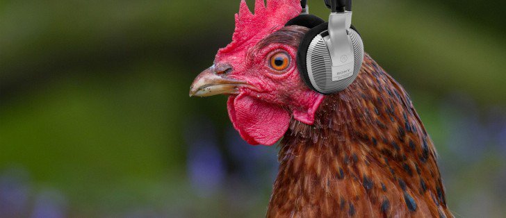 GSMArena On Twitter Headphone Jack On OnePlus 5 Is Safe A gsmarena-on-twitter-headphone-jack-on-oneplus-5-is-safe-a