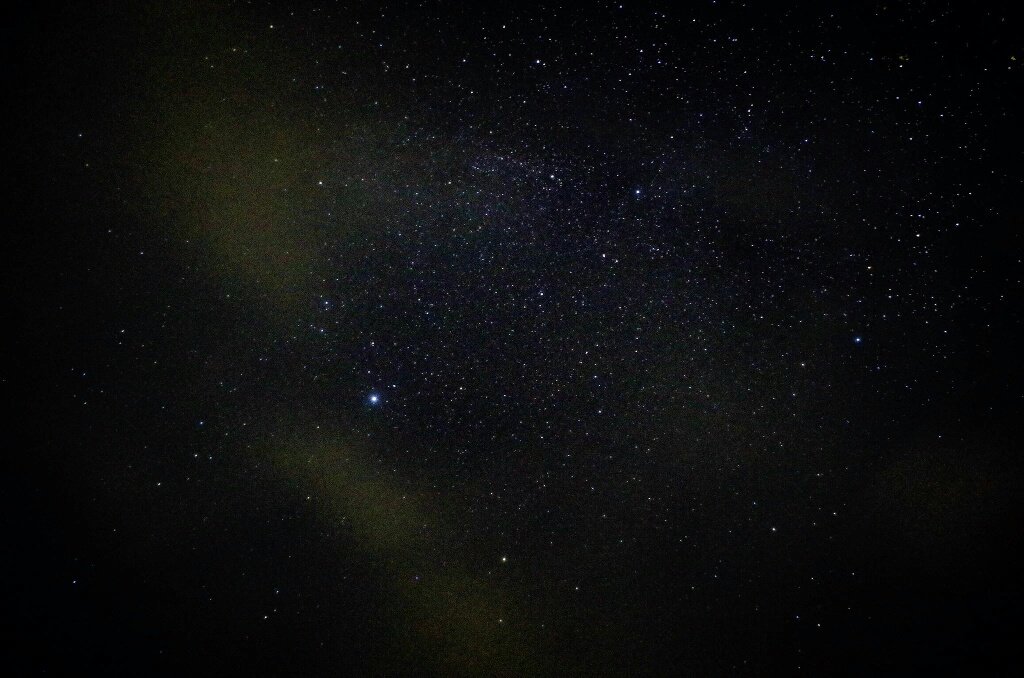 今日は星が綺麗だったので、鉄虎とひなたにも眺めてもらった!!! 