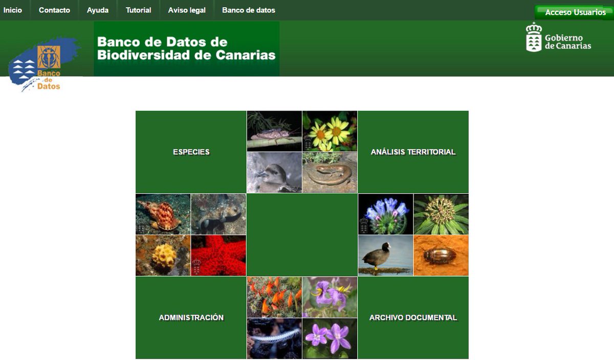 #DíaMundialBiodiversidad ¿Conoces el Banco de Datos de Biodiversidad de Canarias? biodiversidadcanarias.es/atlantis/commo…