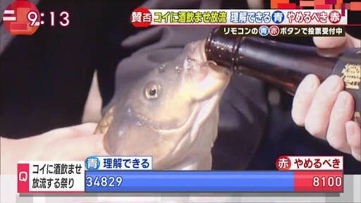 まさに故意？鯉に酒を飲ませる行事がまるでサークル新歓の大学生ｗｗｗ