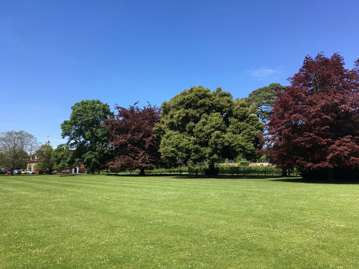 Knockholt Hort Soc (KnockholtHortSo) Twitter