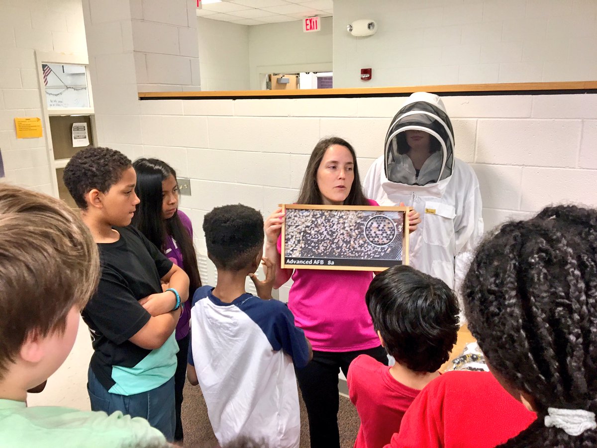 MsStewart_CCMMS's tweet photo. Learning about #honeybees from our guests at @Bayer4Crops! #sciencerules #savethebees #businesspartners #HOWL https://t.co/LPjbLFPKPz