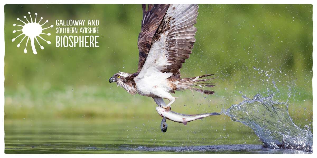 countryscape's tweet photo. Biodiversity and sustainable tourism - working together in Galloway &amp; Southern Ayrshire Biosphere Reserve  https://t.co/wnmaQUMkvs #IDB2017 https://t.co/dKthbFByJo