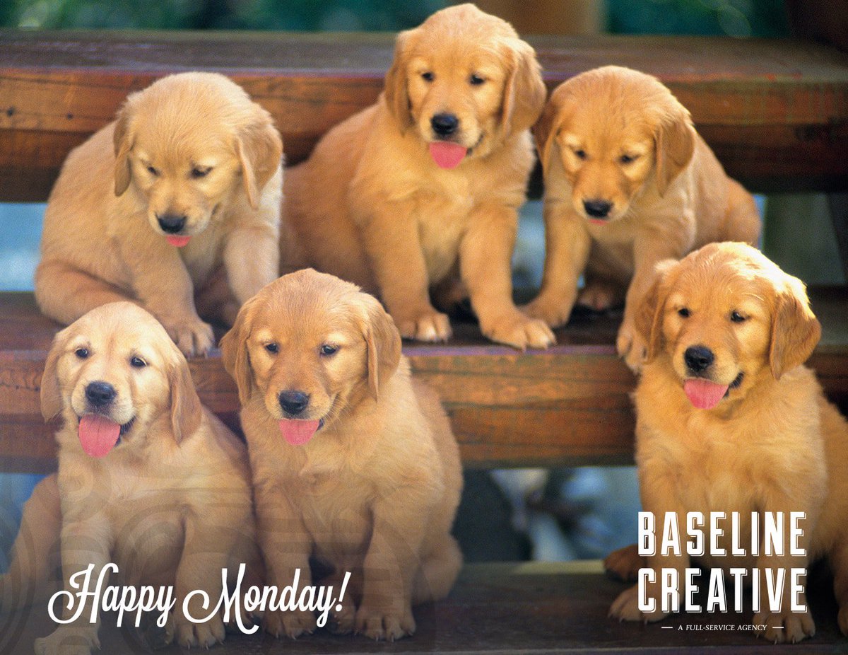 BaselineICT's tweet photo. Just a little something to get your week started ;) Happy Monday! #MondayMotivation #GetCreative #BaselineCreative #WichitaWebDesign https://t.co/VB51ulCqrA