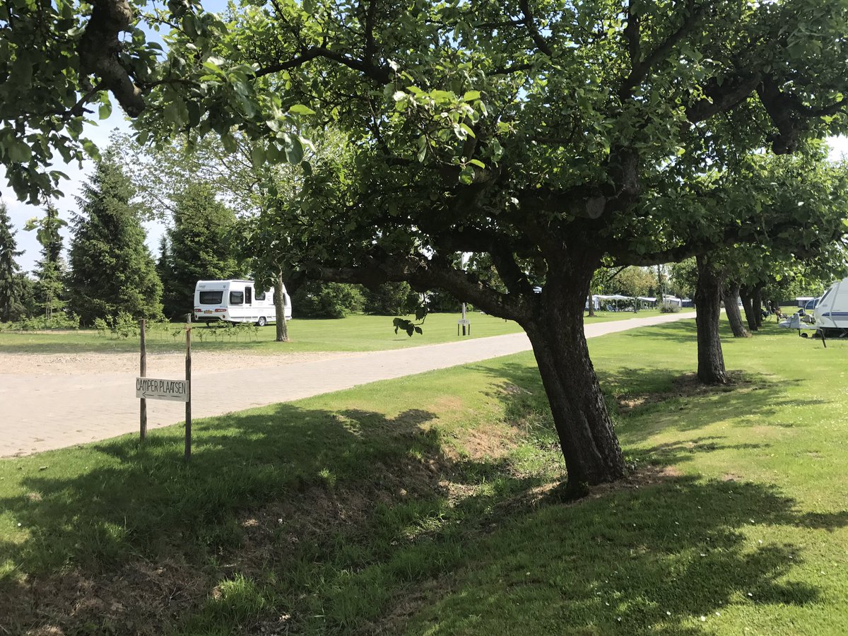 Nu nog wat plekjes maar vanaf woensdag volgeboekt☺🌞🌞🌞
