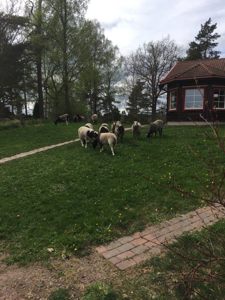 Överlägsna gräsklippare